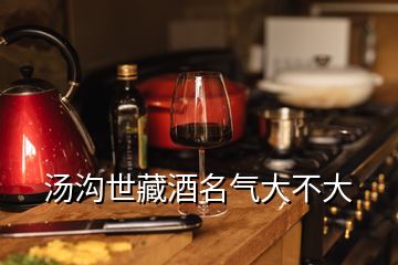 湯溝世藏酒名氣大不大