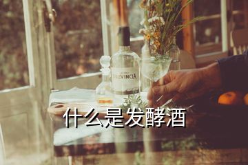 什么是發(fā)酵酒