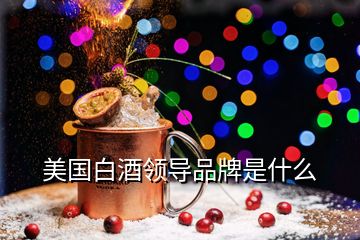 美國白酒領(lǐng)導(dǎo)品牌是什么