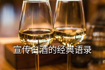 宣傳白酒的經(jīng)典語(yǔ)錄