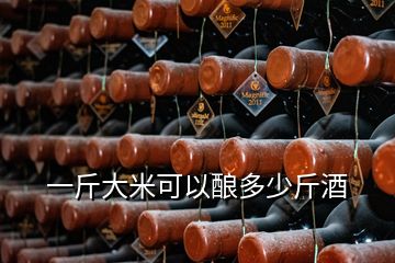 一斤大米可以釀多少斤酒