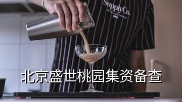 北京盛世桃園集資備查