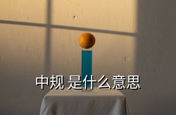 中規(guī) 是什么意思