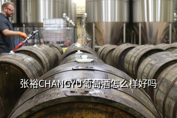 張裕CHANGYU葡萄酒怎么樣好嗎