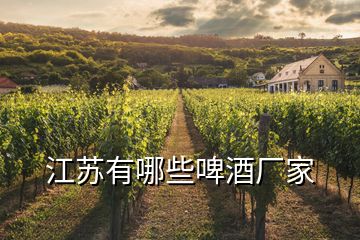 江蘇有哪些啤酒廠家