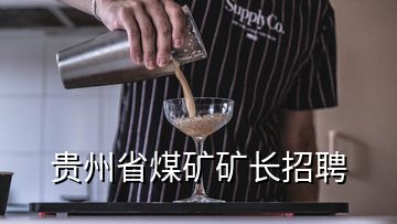 貴州省煤礦礦長(zhǎng)招聘