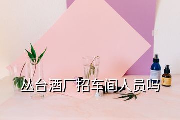 叢臺(tái)酒廠(chǎng)招車(chē)間人員嗎