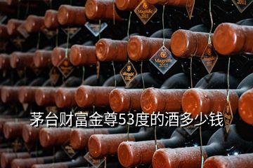 茅臺(tái)財(cái)富金尊53度的酒多少錢