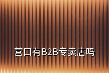 營(yíng)口有B2B專賣店嗎