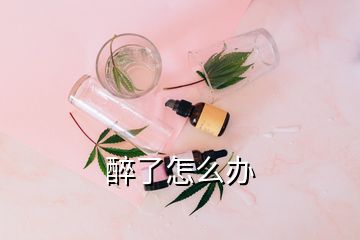 醉了怎么辦