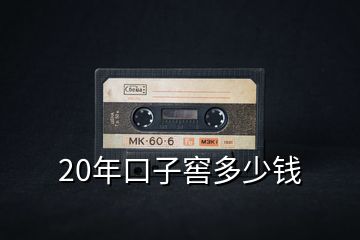 20年口子窖多少錢