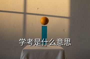 學(xué)考是什么意思