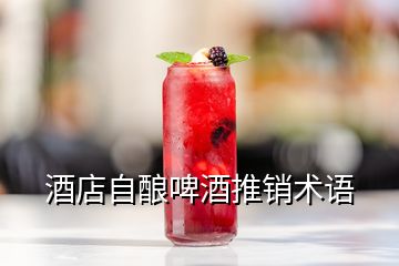 酒店自釀啤酒推銷術(shù)語(yǔ)