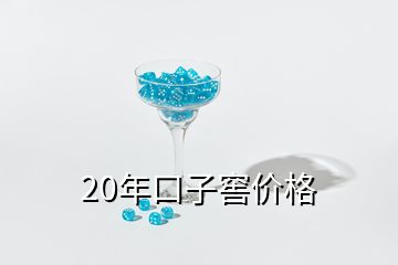 20年口子窖價格