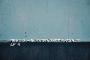 可雅白蘭地koya白蘭地的百年品牌的底蘊深厚文化背景怎么樣  搜