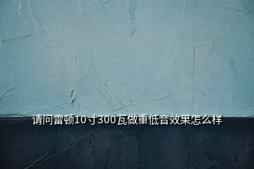 請問雷頓10寸300瓦做重低音效果怎么樣