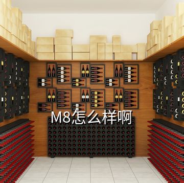 M8怎么樣啊