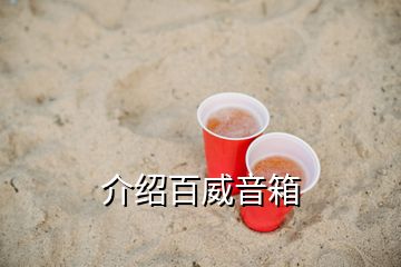 介紹百威音箱