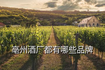 亳州酒廠都有哪些品牌