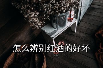 怎么辨別紅酒的好壞