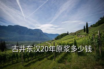 古井東漢20年原漿多少錢