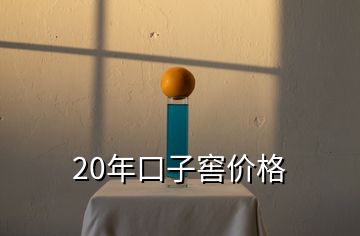 20年口子窖價格