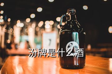 汾牌是什么酒