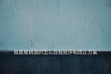 我是推銷(xiāo)酒的怎么自我批評(píng)和改正方案