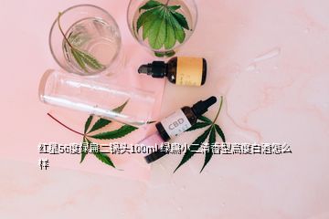 紅星56度綠扁二鍋頭100ml 綠扁小二清香型高度白酒怎么樣