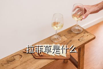 拉菲草是什么