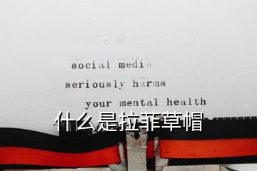 什么是拉菲草帽