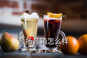 派揚(yáng)音箱怎么樣