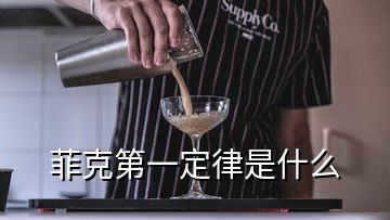 菲克第一定律是什么