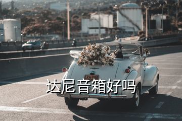 達尼音箱好嗎