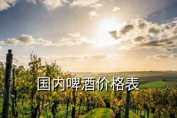 國內(nèi)啤酒價(jià)格表