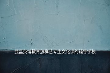 武昌英博教育怎樣藝考生文化課的輔導(dǎo)學(xué)校