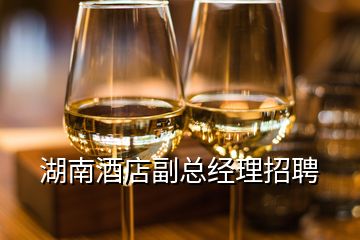 湖南酒店副總經(jīng)理招聘