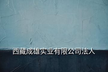 西藏成雄實業(yè)有限公司法人