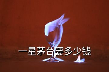 一星茅臺要多少錢