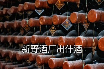 新野酒廠出什酒