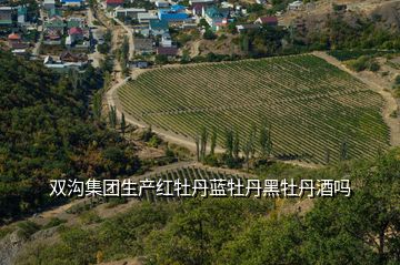 雙溝集團(tuán)生產(chǎn)紅牡丹藍(lán)牡丹黑牡丹酒嗎