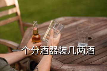 一個分酒器裝幾兩酒