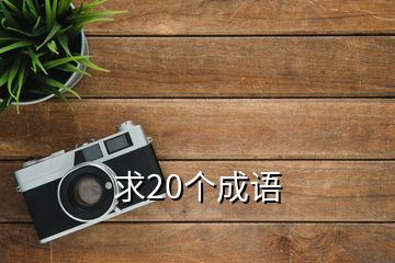 求20個成語