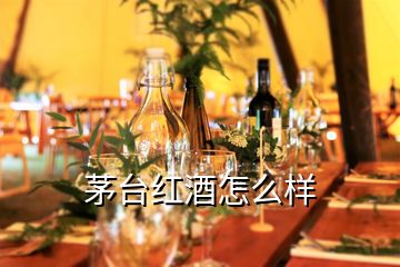 茅臺(tái)紅酒怎么樣