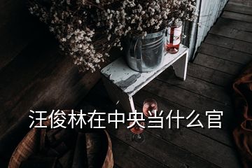 汪俊林在中央當(dāng)什么官