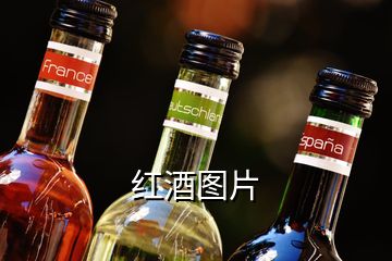 紅酒圖片