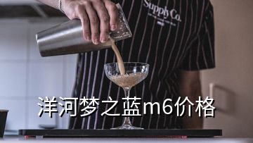 洋河夢(mèng)之藍(lán)m6價(jià)格