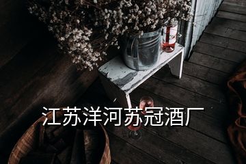 江蘇洋河蘇冠酒廠(chǎng)