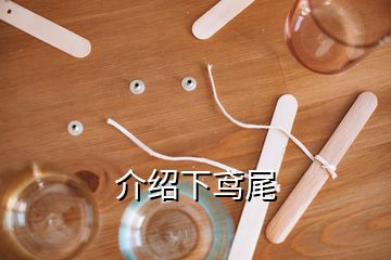 介紹下鳶尾