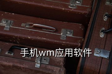 手機(jī)wm應(yīng)用軟件